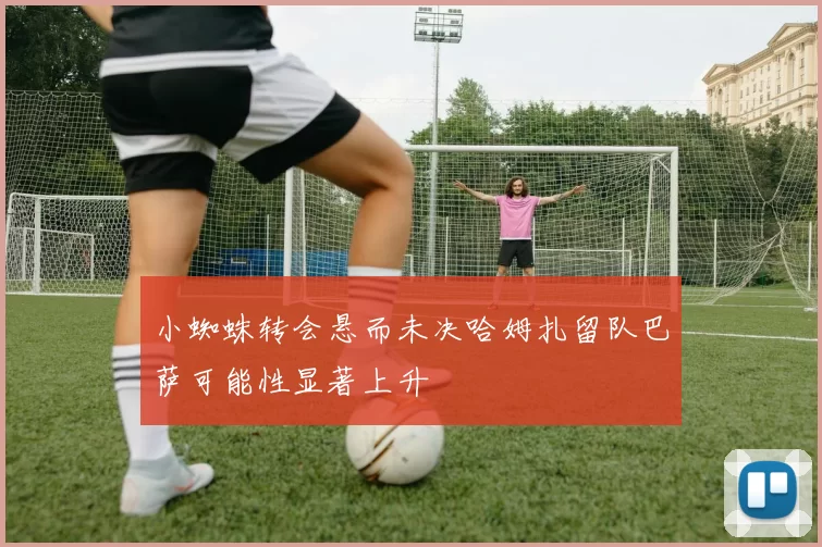 小蜘蛛转会悬而未决哈姆扎留队巴萨可能性显著上升